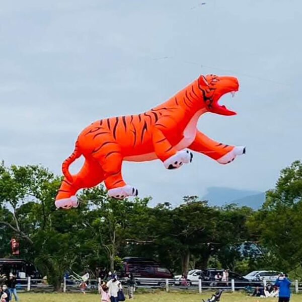 large tiger kite