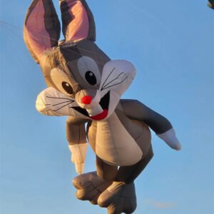 cartoon-bunny-show-kite