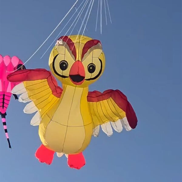 customize-nylon-owl-kite
