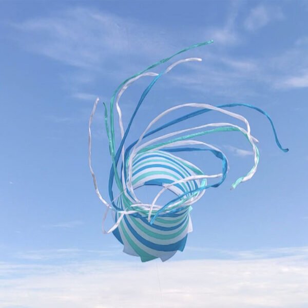 funny-outdoor-spinner-kite