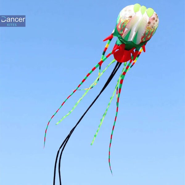 hotsale-outdoor-adults-kites