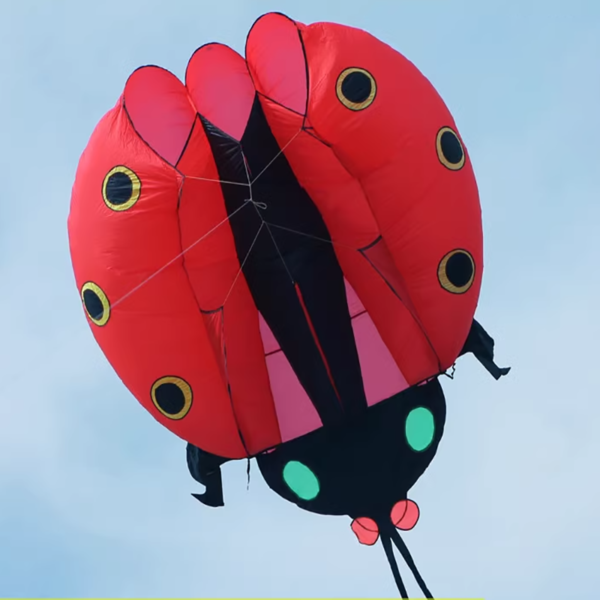huge-nylon-red-ladybug-kite
