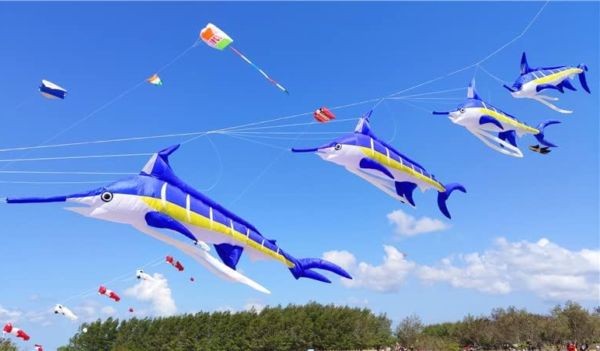 large-swordfish-kite