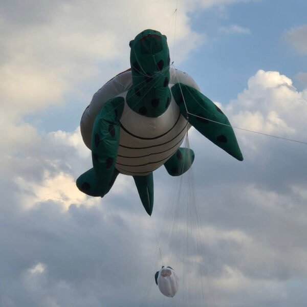 large-turtle-show-kite-for-adults