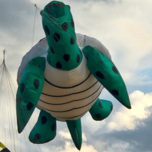 soft-large-turtle-with-eggs-kite
