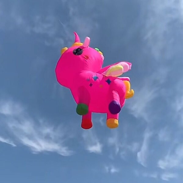 soft-unicorn-line-laundry-kite