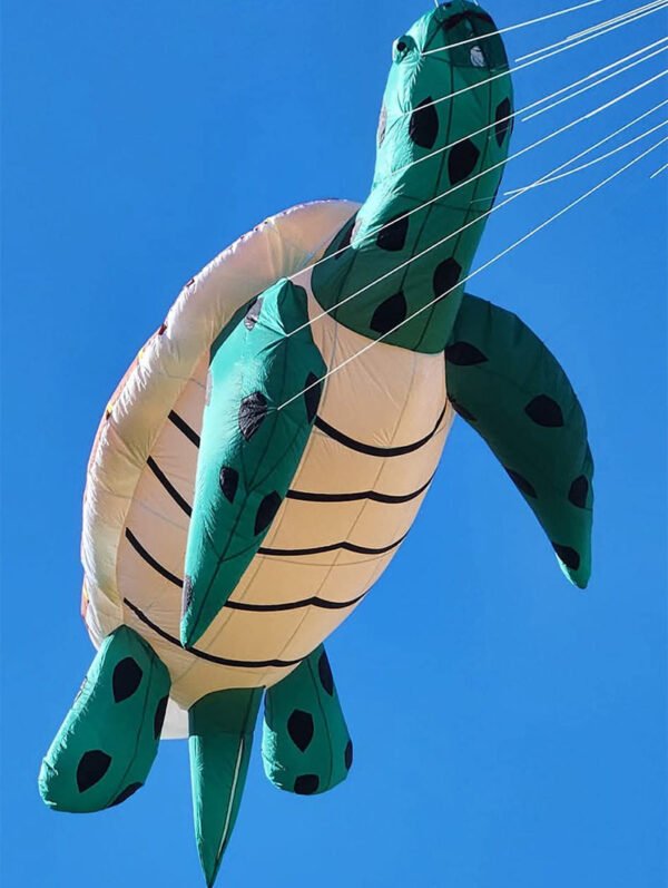 turtle-show-kite.