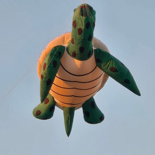 turtle-with-eggs-soft-kite