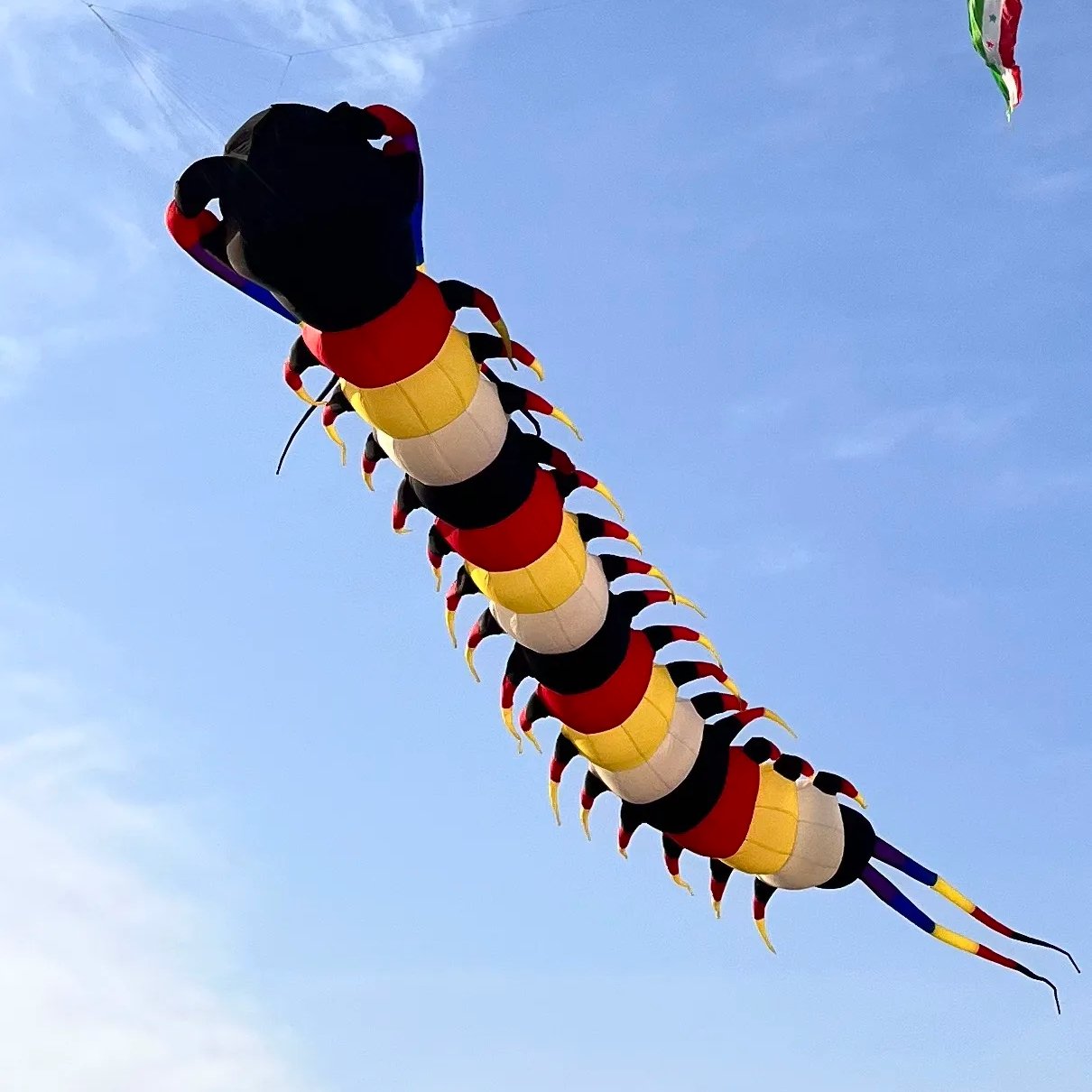 20–45m Giant Centipede Soft Kite for Adults from China Kite Factory - Image 5