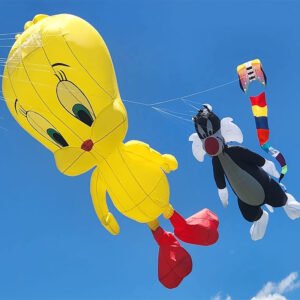 TweetyBird-large-show-kite