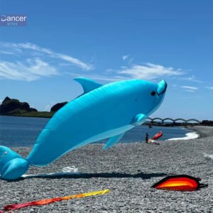 big-dolphin-kite