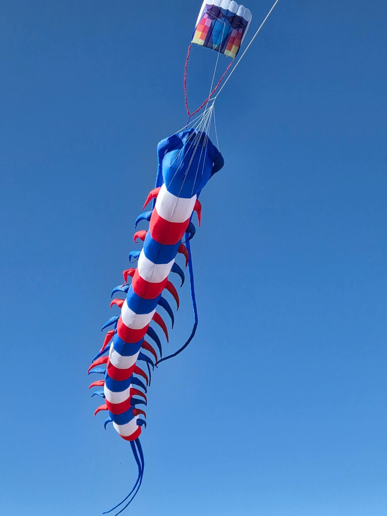 centipede-soft-large-kite