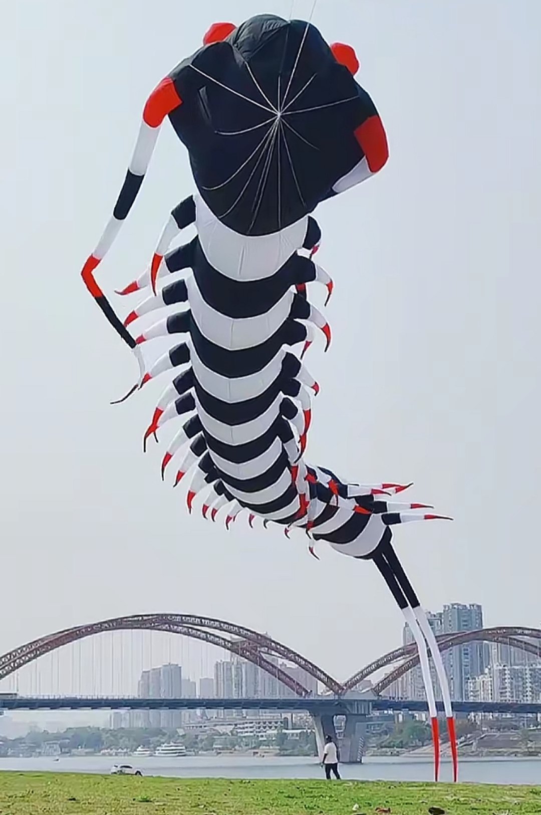 outdoor-nylon-big-kite