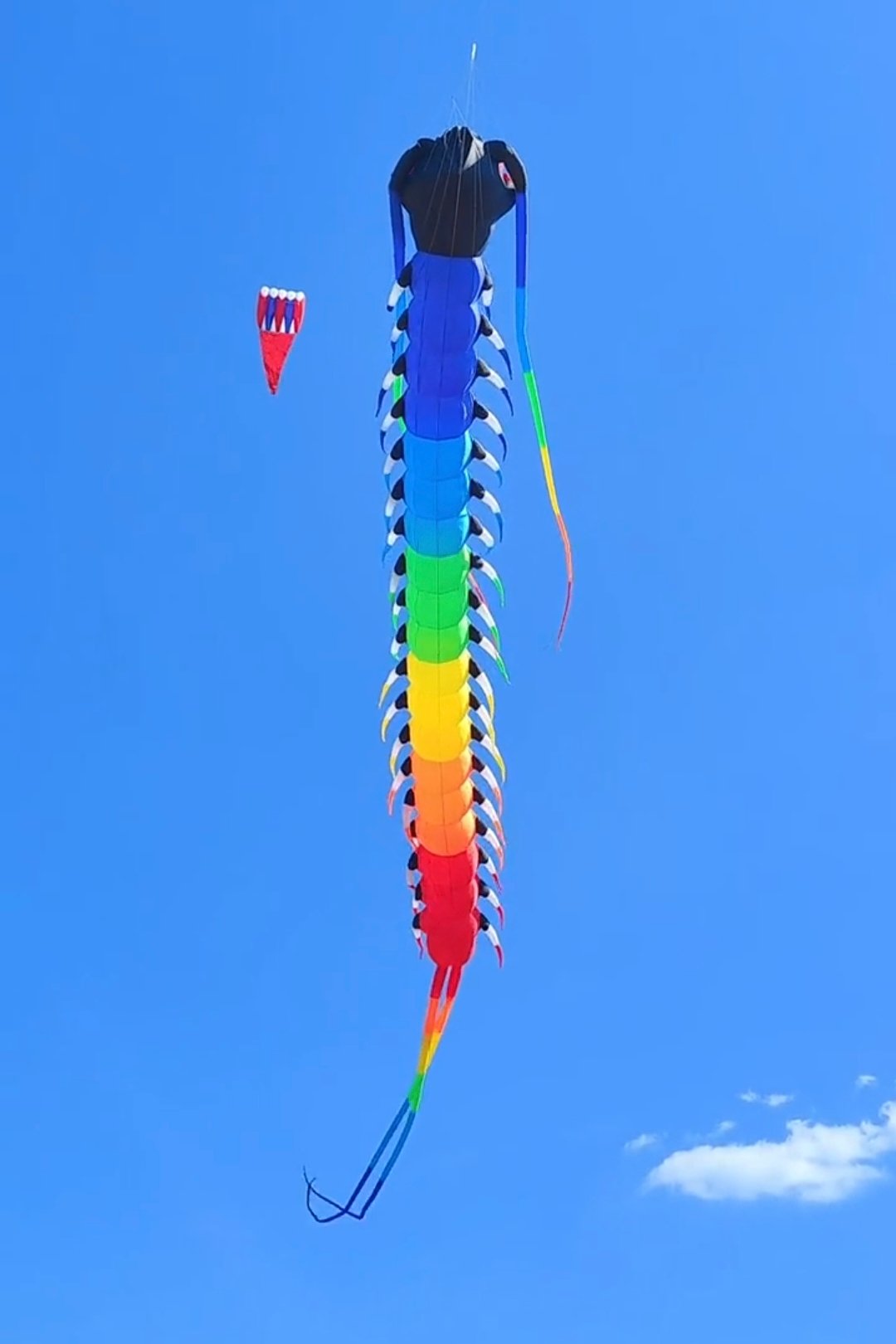 rainbow-animal-kite