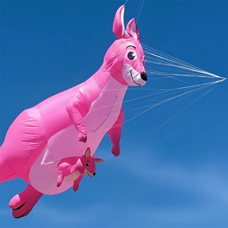 kangaroo kite line laundry