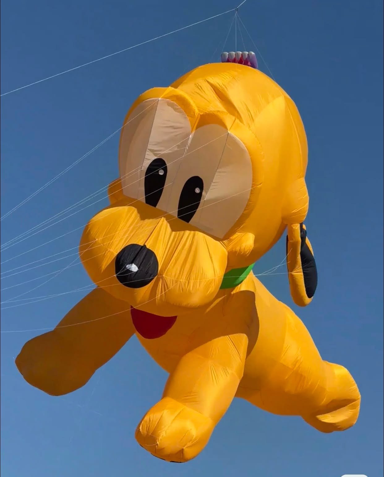 New 8m / 13m Pluto Dog Kite Pendant Giant Inflatable Cartoon Puppy Line Laundry Kite for Adults - Image 6
