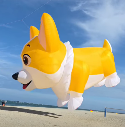 New 5m Corgi Dog Kite Pendant – Inflatable Puppy Line Laundry Kite for Adults - Image 4