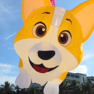 corgi dog kite