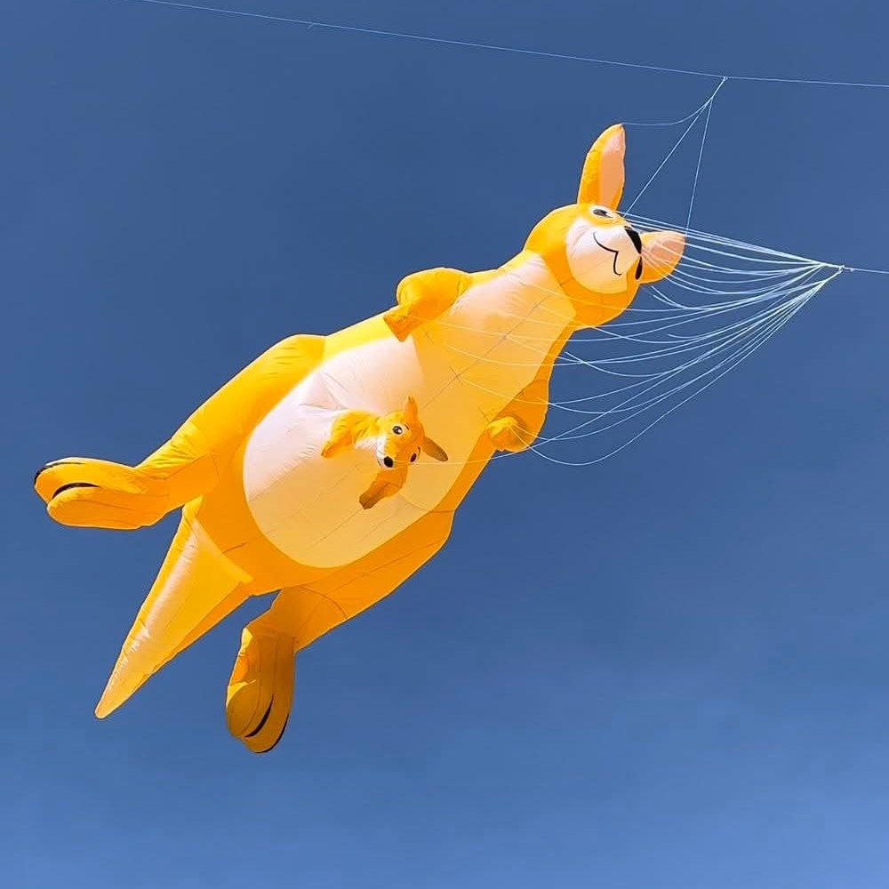 6m Kangaroo Nylon Show Kite for Adults – Soft Inflatable Line Laundry Kite - Image 6