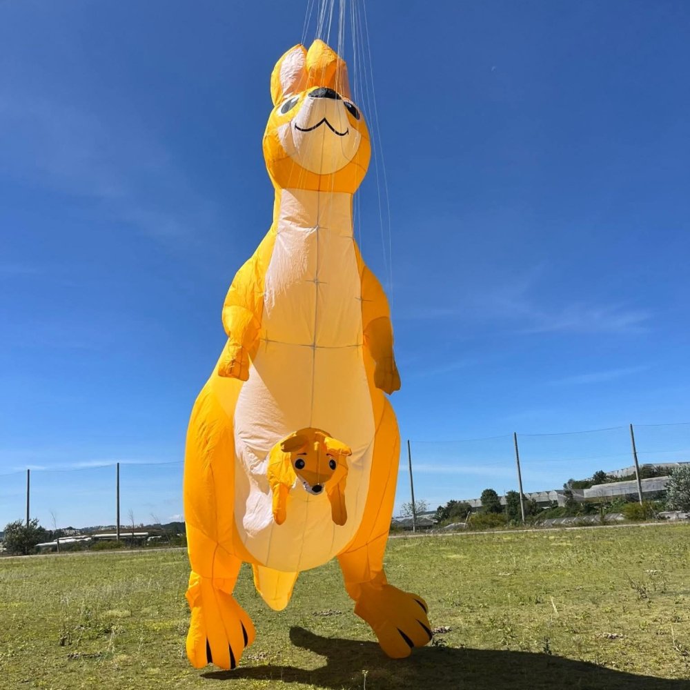 6m Kangaroo Nylon Show Kite for Adults – Soft Inflatable Line Laundry Kite - Image 7