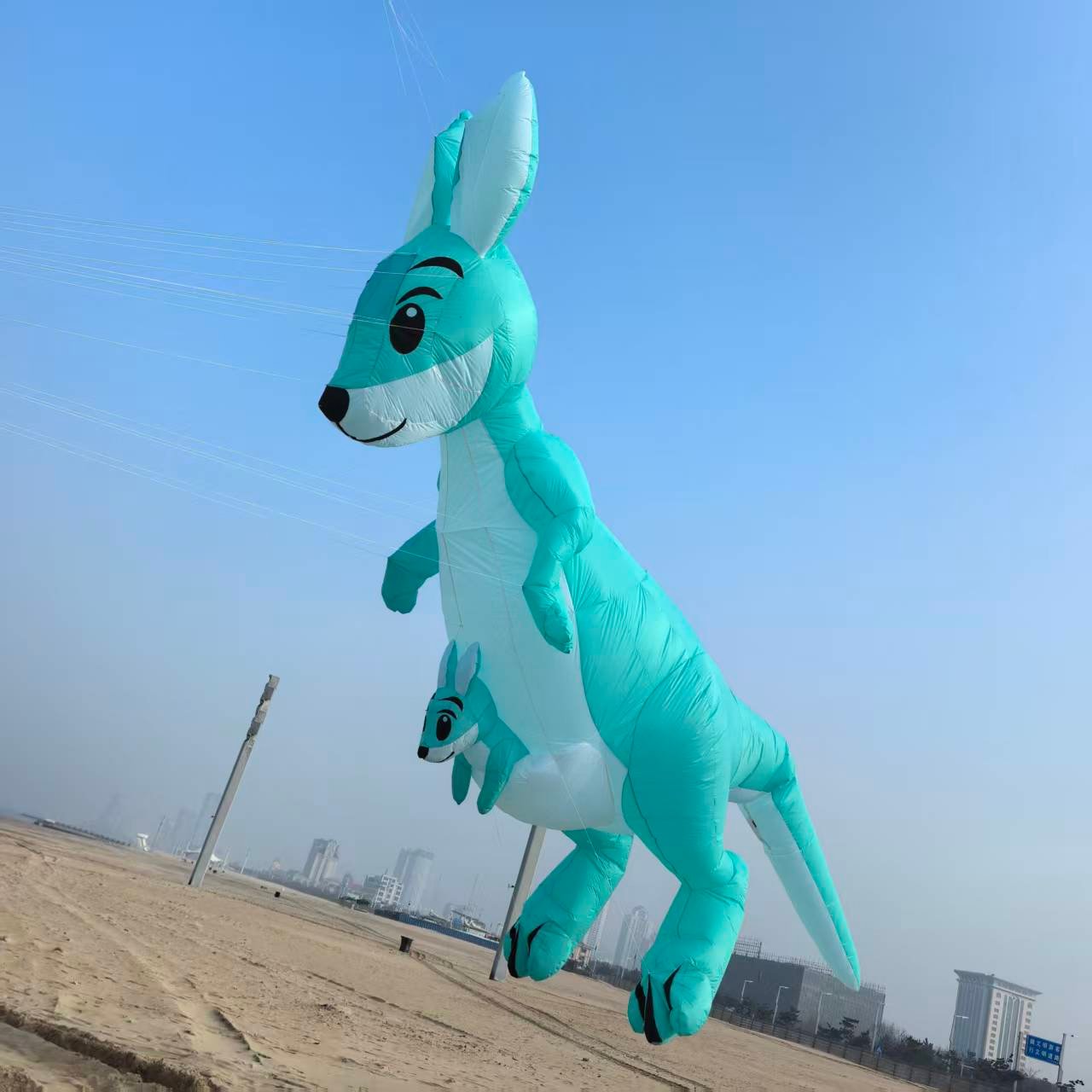 kangaroo-kite-show-kite