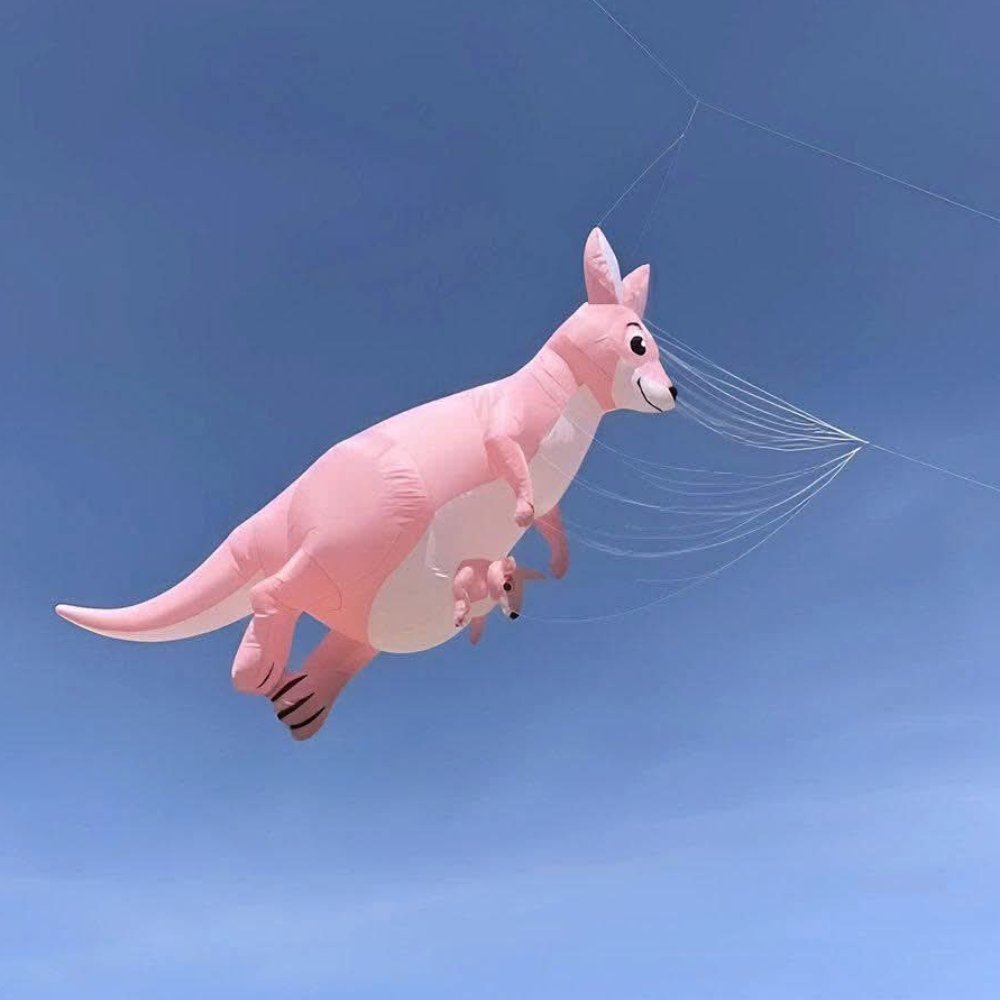 6m Kangaroo Nylon Show Kite for Adults – Soft Inflatable Line Laundry Kite - Image 5