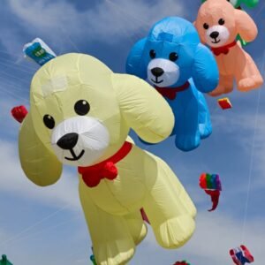 soft-teddy-kite