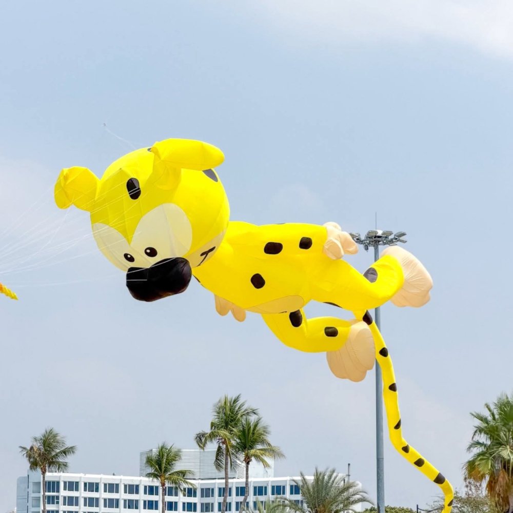 spotted-dog-kite