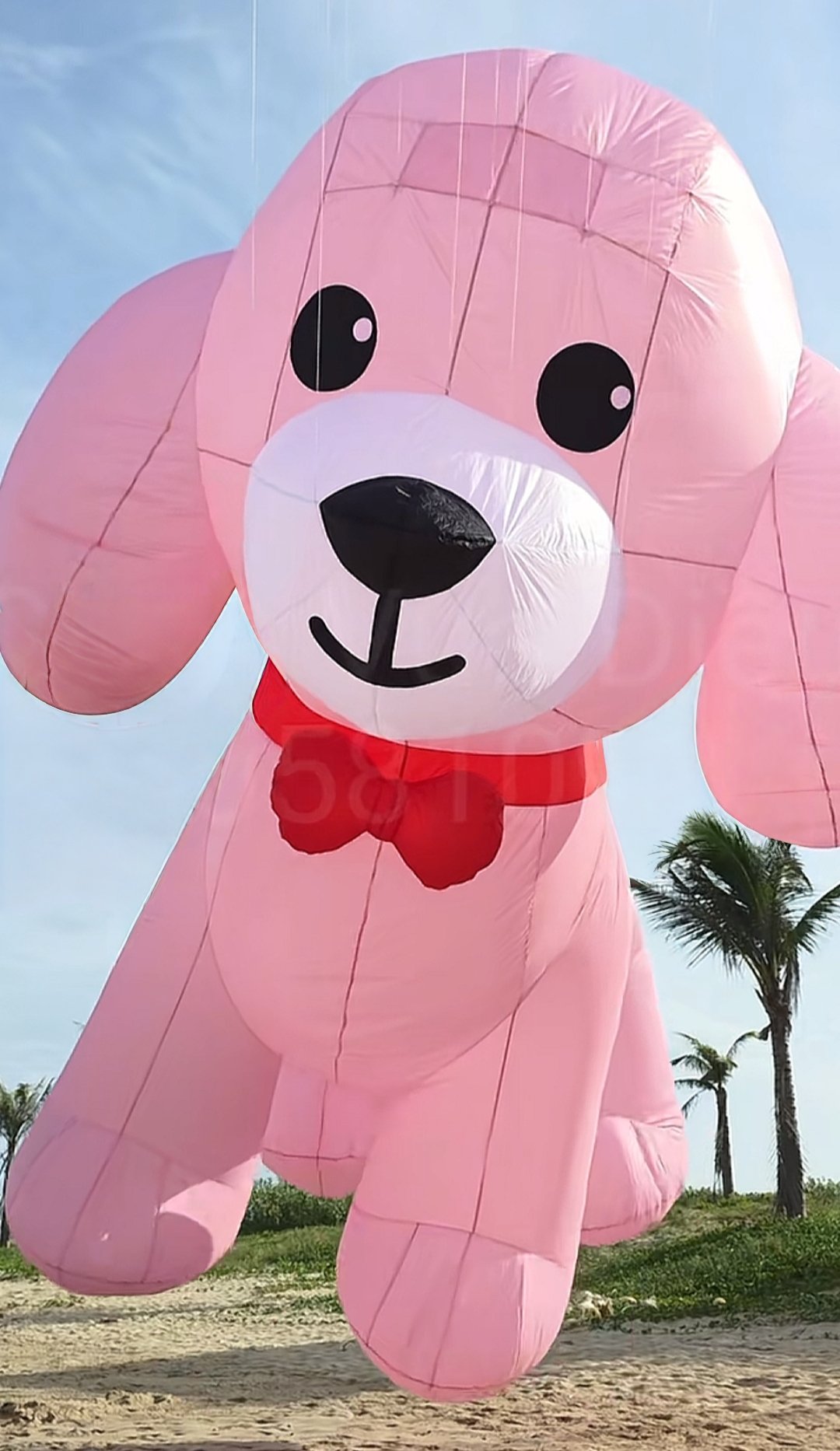 teddy-kite-for-adults