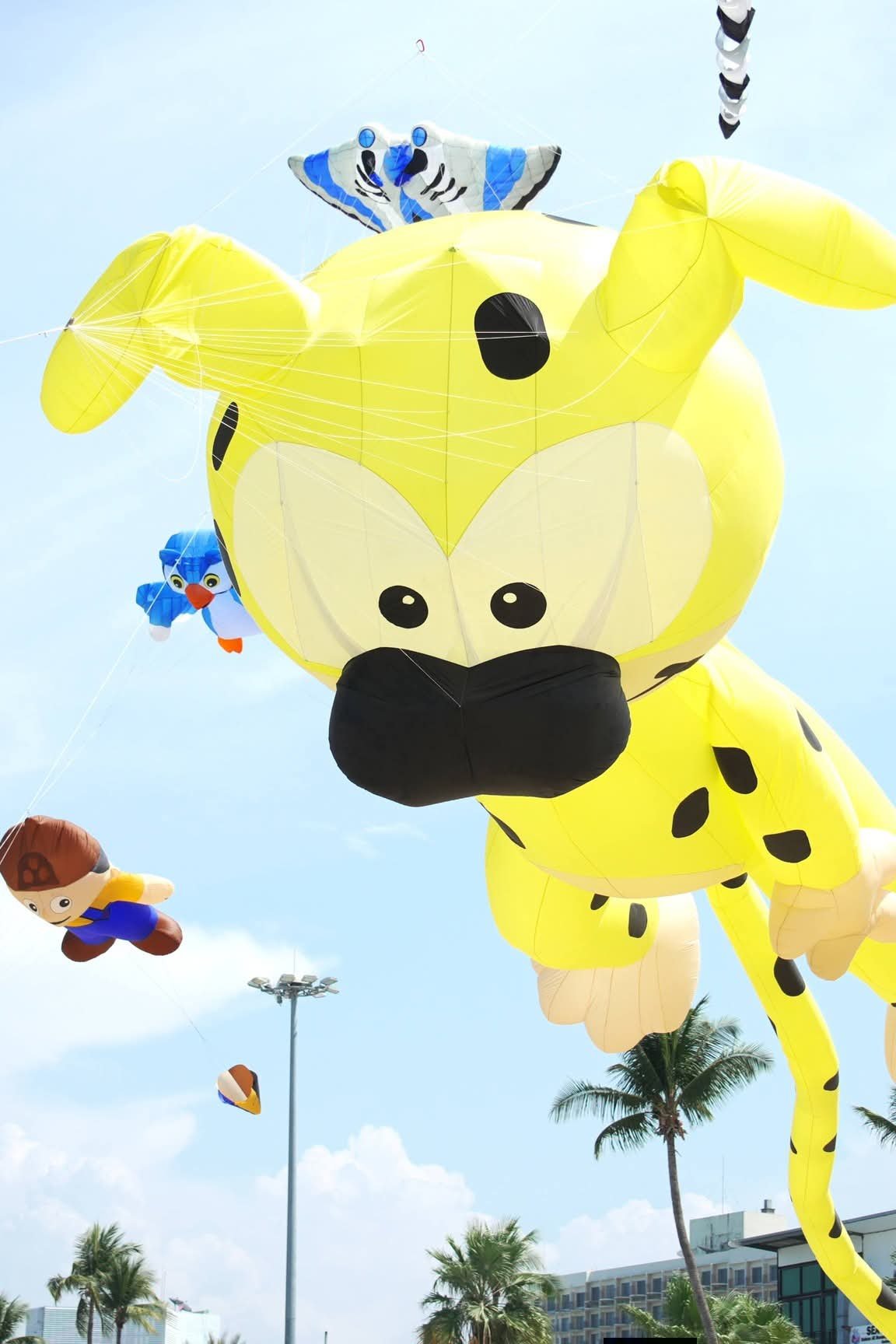 yellow-spotted-dog-kite-for-kite-festival