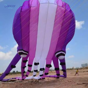 15m-Purple-octopus-kite