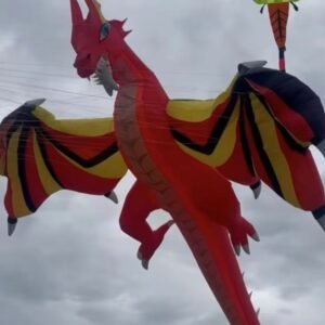 18m Giant Dragon Kite for Adults – Large Inflatable Show Kite,40D Ripstop Nylon