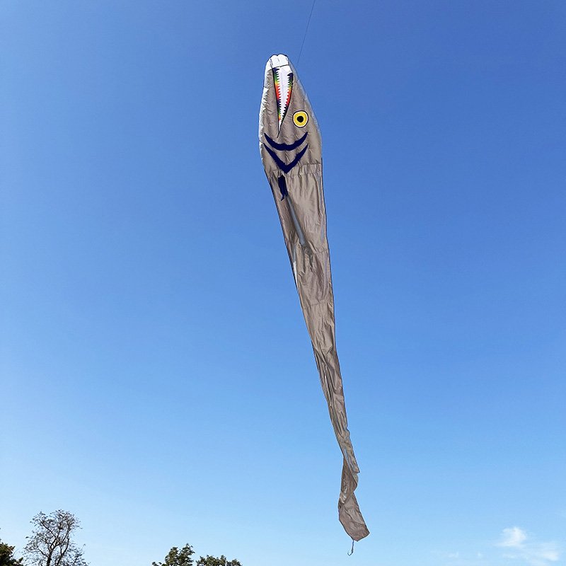 19m Giant Ribbonfish Kite Soft Inflatable Kite Professional Outdoor Beach Kite - Image 2
