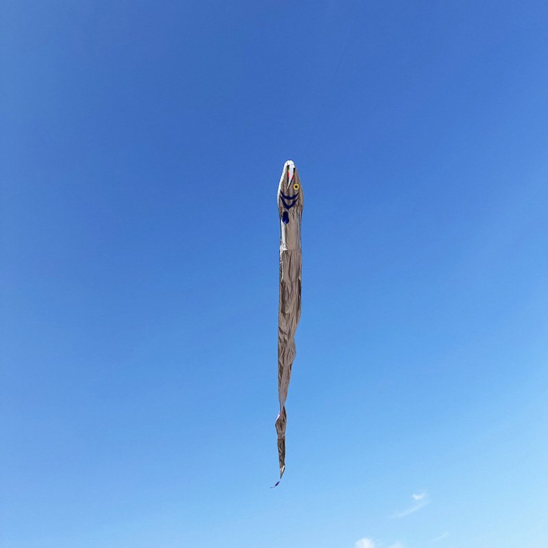 19m Giant Ribbonfish Kite Soft Inflatable Kite Professional Outdoor Beach Kite - Image 4