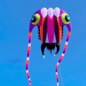 Soft Inflatable kite