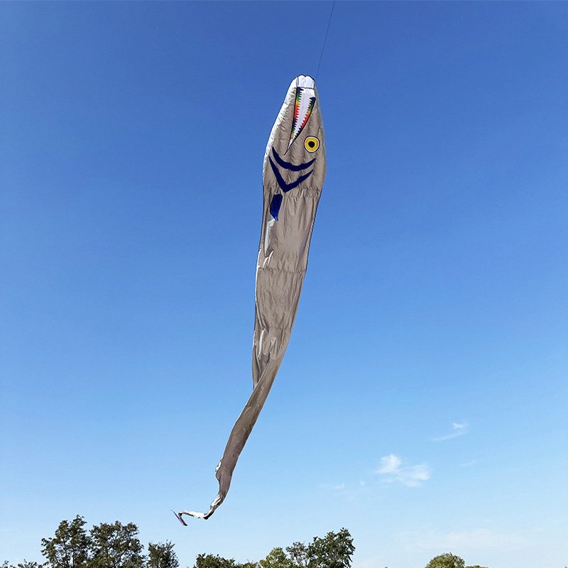 19m Giant Ribbonfish Kite Soft Inflatable Kite Professional Outdoor Beach Kite - Image 3