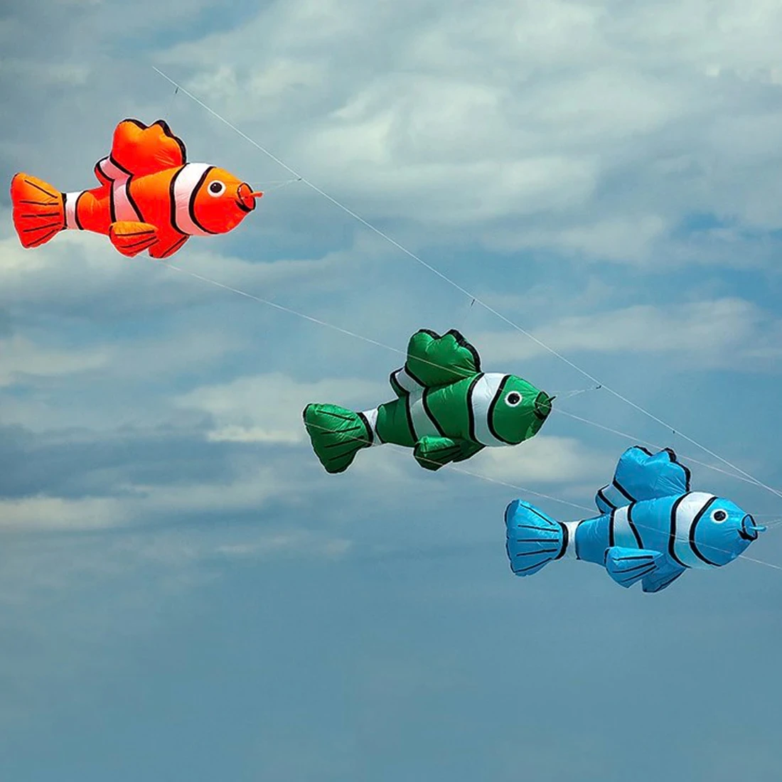 outdoor fish kite