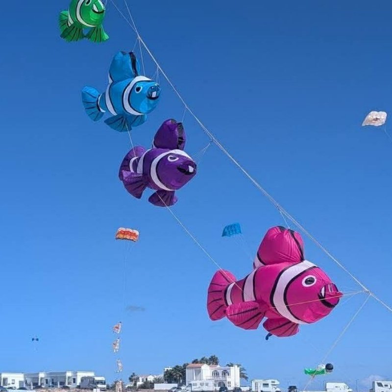 Clownfish-line-laundry-kite