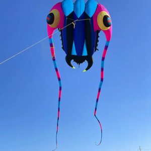 trilobite kite
