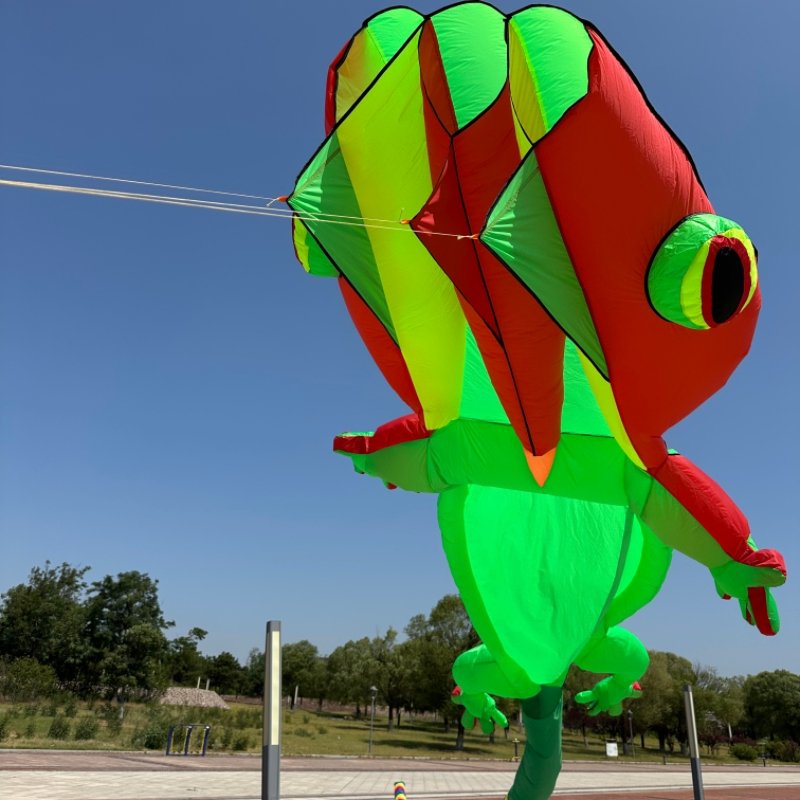 inflatable-kite-for-adults