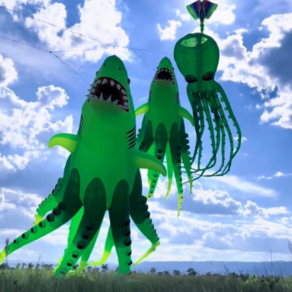 New 18m Gaint OctoShark Kite Pendant – Inflatable Display Kite for Adults - Image 2