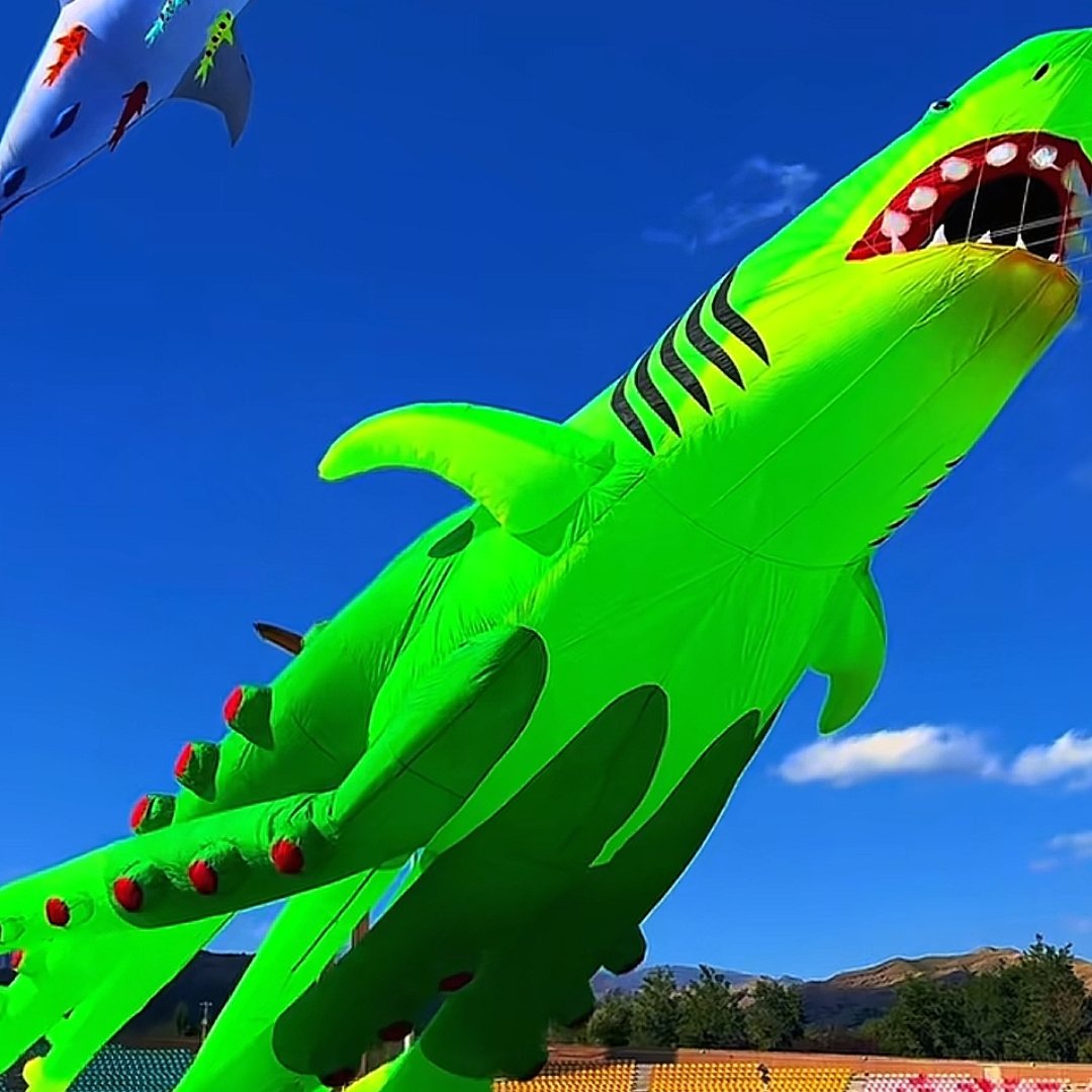 New 18m Gaint OctoShark Kite Pendant – Inflatable Display Kite for Adults - Image 4