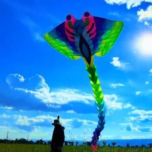 21m Giant Manta Ray Kite – Flies Alone, Premium 30D Nylon Soft Kite for Adults