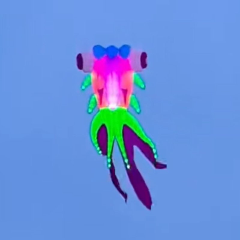 9m LED Goldfish Kite – 40D Ripstop Nylon Giant Kite For Adults - Image 2