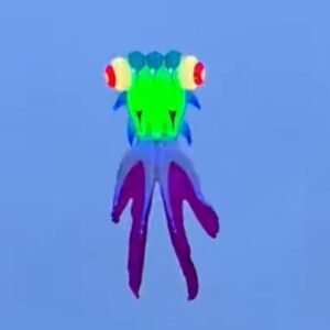 9m LED Goldfish Kite – 40D Ripstop Nylon Giant Kite For Adults