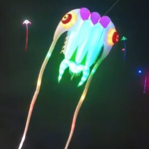 16sqm LED Trilobite Kite – 40D Ripstop Nylon Giant Soft Kite with Remote Control