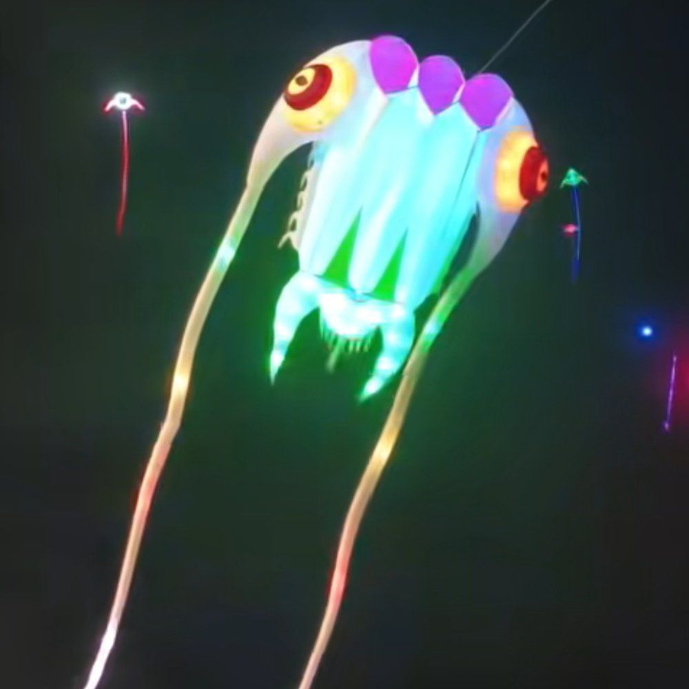 16sqm LED Trilobite Kite – 40D Ripstop Nylon Giant Soft Kite with Remote Control