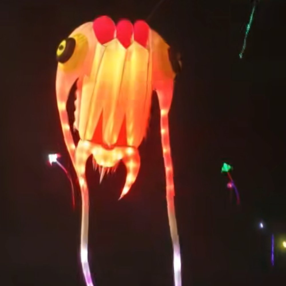 16sqm LED Trilobite Kite – 40D Ripstop Nylon Giant Soft Kite with Remote Control - Image 2