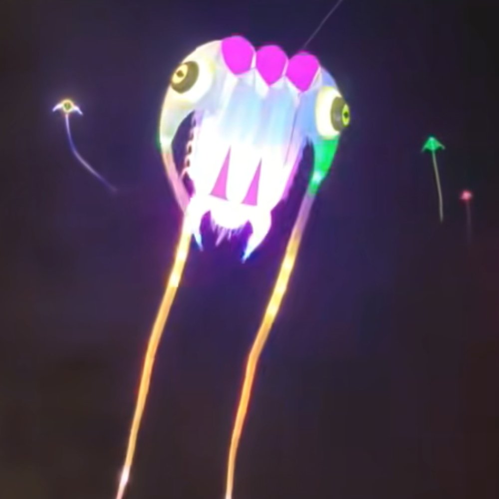 16sqm LED Trilobite Kite – 40D Ripstop Nylon Giant Soft Kite with Remote Control - Image 3