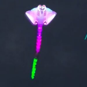 Professional 15m LED Manta Ray Kite –30D Nylon Giant Soft Kite